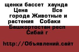 щенки бассет- хаунда › Цена ­ 20 000 - Все города Животные и растения » Собаки   . Башкортостан респ.,Сибай г.